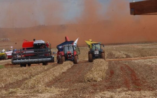 Leia mais sobre o artigo IBGE aponta crescimento de safras em 2020 e 2021