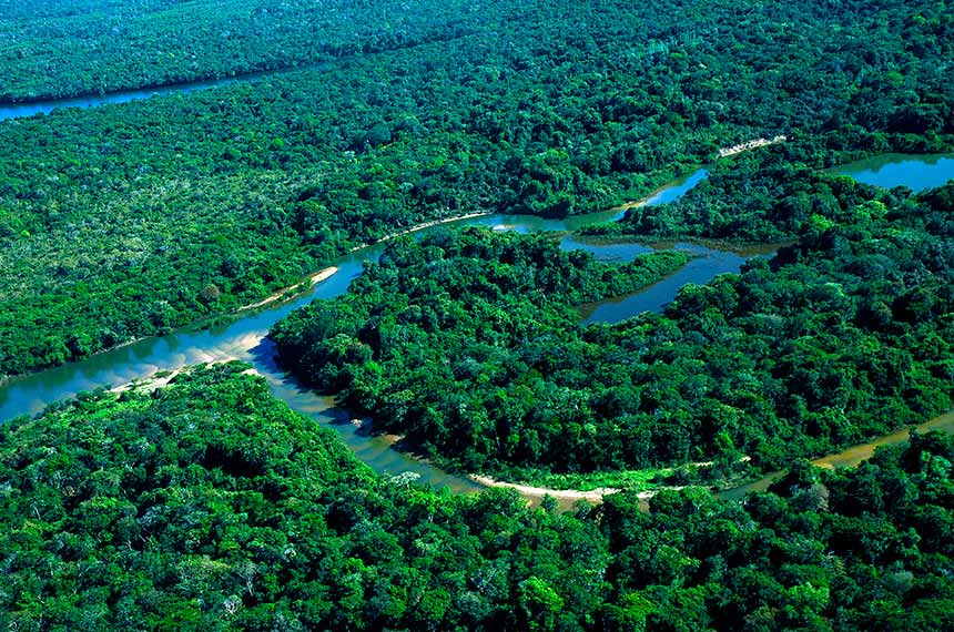 Leia mais sobre o artigo Governo edita decreto com regras para regularização fundiária na Amazônia