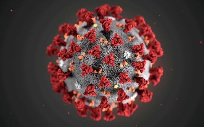 Leia mais sobre o artigo EUA registram primeiro caso de variante mais contagiosa do novo coronavírus