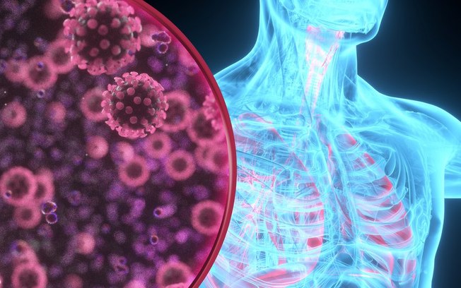 Leia mais sobre o artigo Coração, cérebro, pulmão: como a Covid-19 afeta nossos órgãos vitais