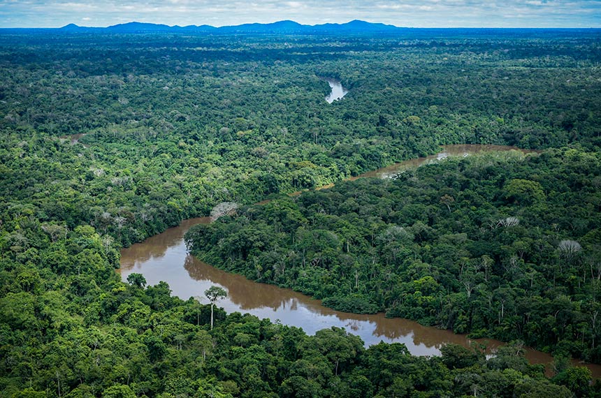 Leia mais sobre o artigo Política de Pagamento por Serviços Ambientais é sancionada com vetos