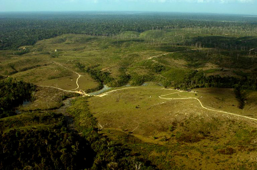 Leia mais sobre o artigo Preservação da Amazônia esteve em debate no Senado em 2020