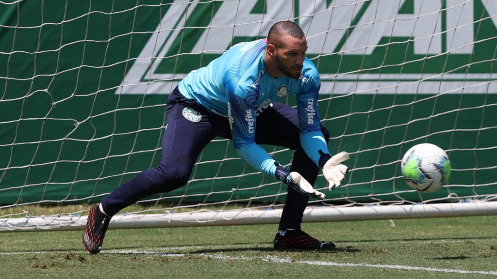 Leia mais sobre o artigo Palmeiras realiza treino técnico e tático antes de viagem a Fortaleza