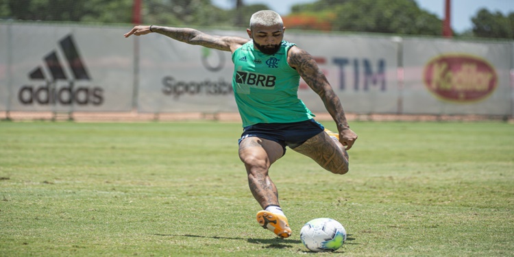 Leia mais sobre o artigo Flamengo realiza último treino antes do confronto contra o Sport