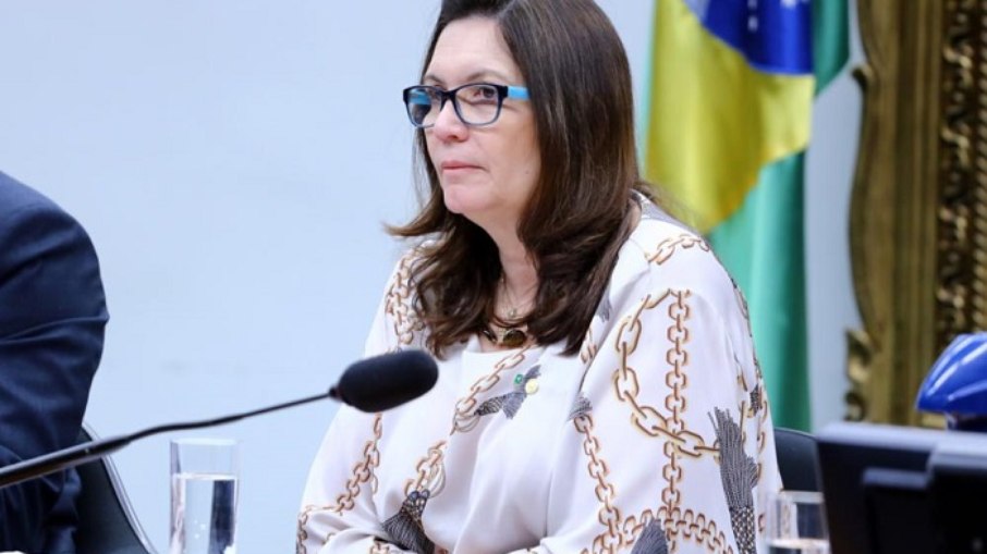 Leia mais sobre o artigo Partidos se articulam para barrar indicação de Bia Kicis à CCJ da Câmara