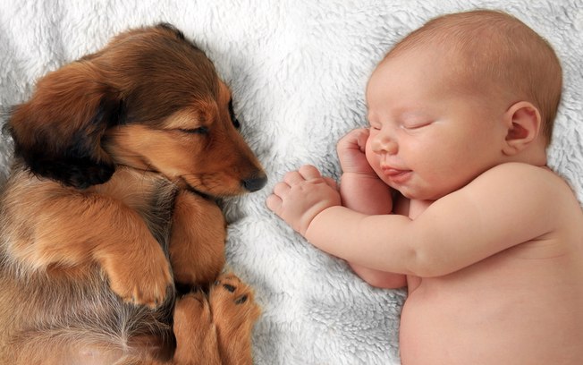 Leia mais sobre o artigo Dicas para adaptar seu cachorro com a chegada do bebê