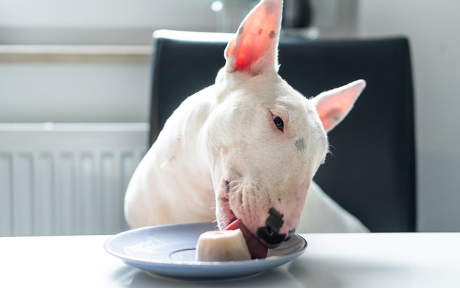 Leia mais sobre o artigo Alivie o calor de seu pet com picolé para cachorro