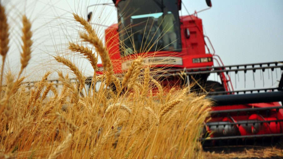 Leia mais sobre o artigo Conab lança plataforma de leilão para produtos, serviços e insumos agropecuários