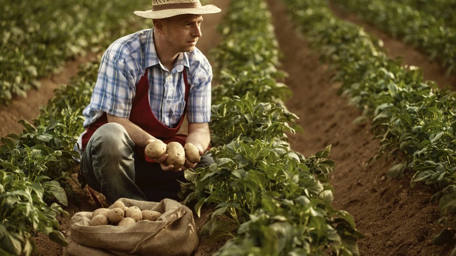 Leia mais sobre o artigo R$ 1 trilhão: esse deve ser o Valor Bruto de Produção do Agro em 2021