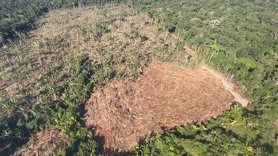 Leia mais sobre o artigo Governo estuda meios de melhorar imagem ambiental para não prejudicar economia