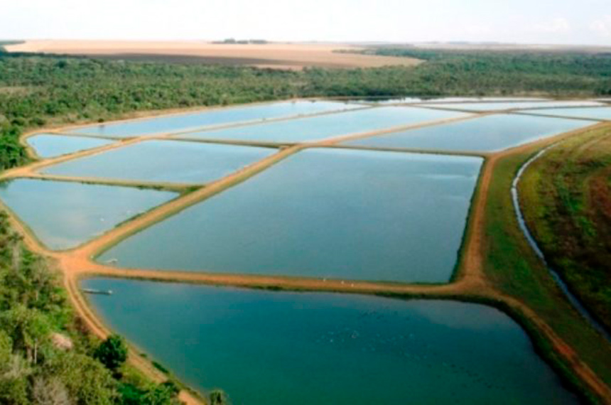 Leia mais sobre o artigo Pequenas empresas aquícolas podem ser liberadas de licenciamento ambiental