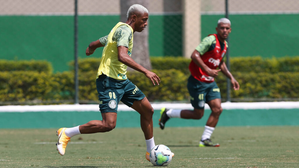 Leia mais sobre o artigo Com Danilo e Henri, Palmeiras treina antes de viagem a MG