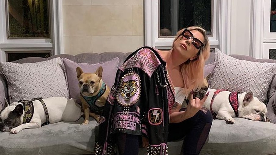 Leia mais sobre o artigo Passeador de cães é baleado e cães de Lady Gaga são roubados em Los Angeles