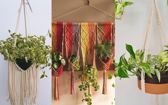 Leia mais sobre o artigo Hangers: saiba quais as plantas ideais para serem penduradas!