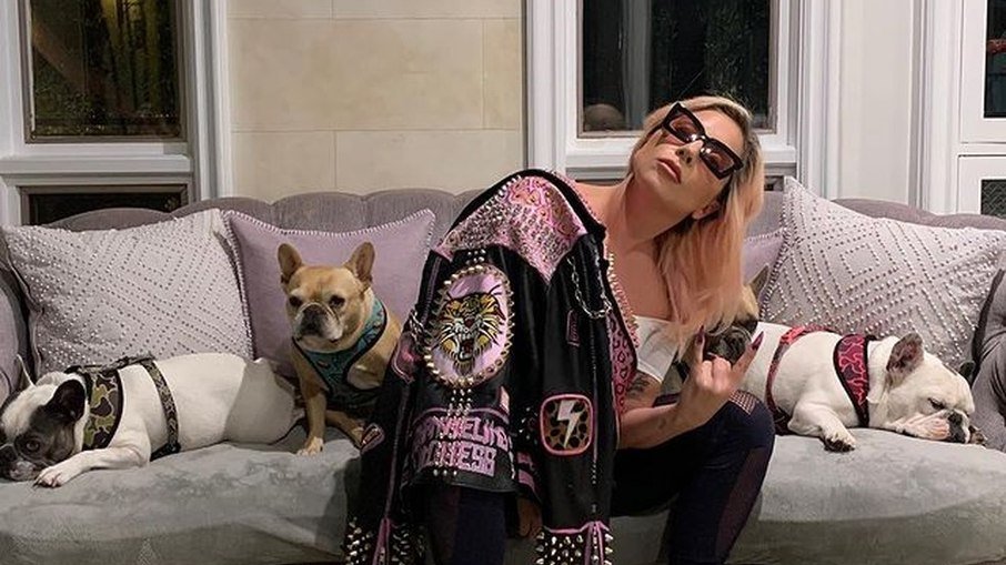 Leia mais sobre o artigo Passeador de cães de Lady Gaga fala pela primeira vez após assalto