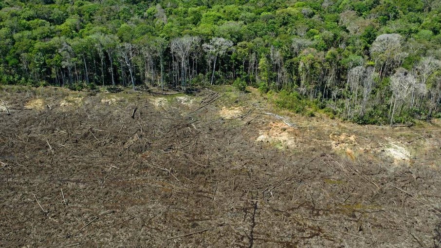 Leia mais sobre o artigo Mato Grosso reduz em 31,5% os alertas de desmatamento em seis meses