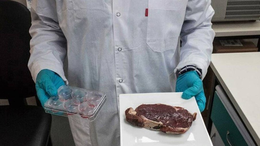 Leia mais sobre o artigo BRF, dona de Sadia e Perdigão, vai produzir bife de laboratório no Brasil