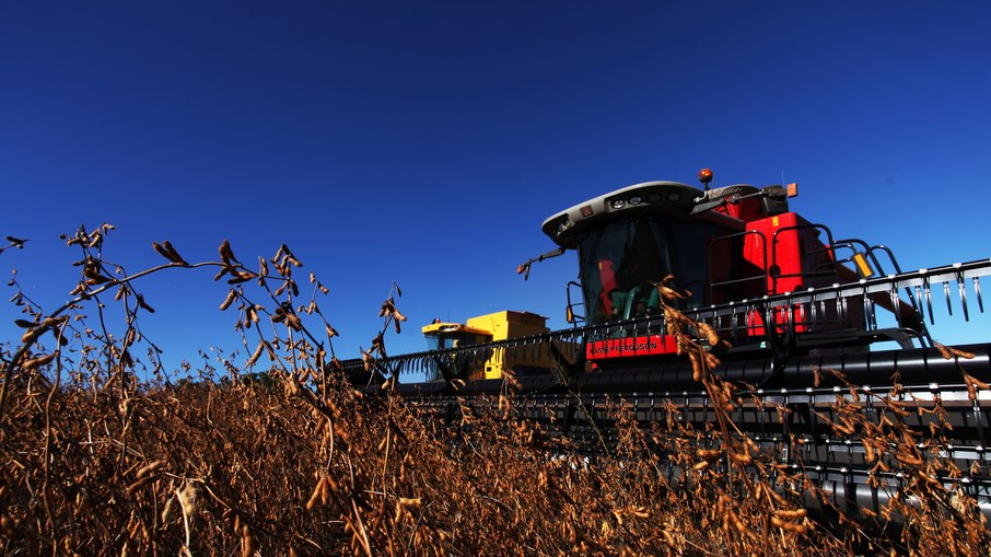 Leia mais sobre o artigo PIB do setor agropecuário apresentou crescimento de 2% em 2020