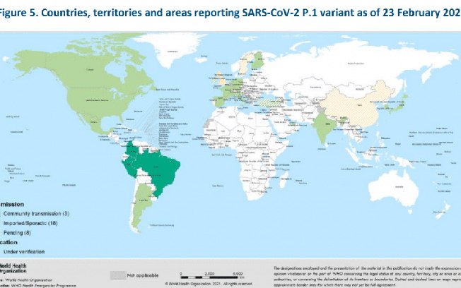 Leia mais sobre o artigo Covid-19: “Variante brasileira é uma ameaça mundial”, diz jornal norte-americano