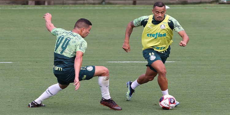 Leia mais sobre o artigo Elenco profissional do Palmeiras realiza treino tático e técnico